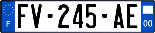 FV-245-AE