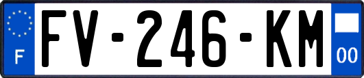 FV-246-KM