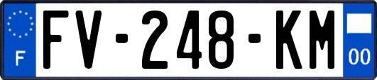 FV-248-KM