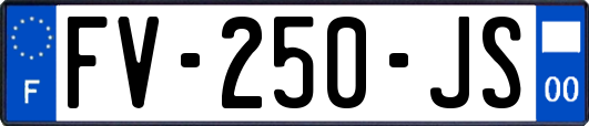FV-250-JS