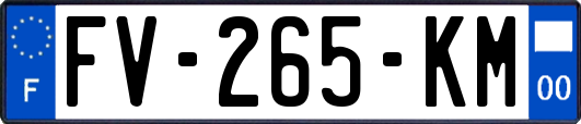 FV-265-KM