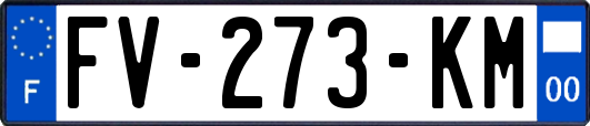 FV-273-KM