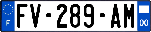 FV-289-AM