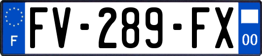 FV-289-FX