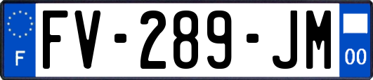 FV-289-JM