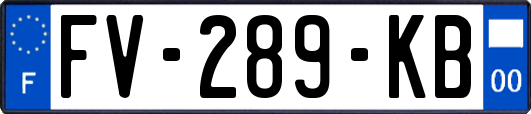 FV-289-KB