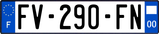 FV-290-FN