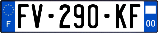 FV-290-KF