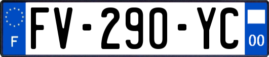 FV-290-YC