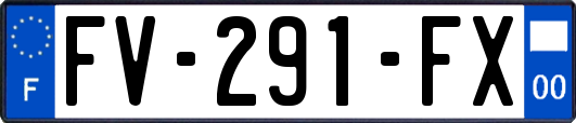 FV-291-FX