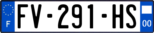 FV-291-HS
