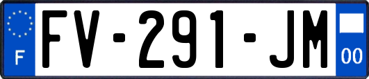 FV-291-JM