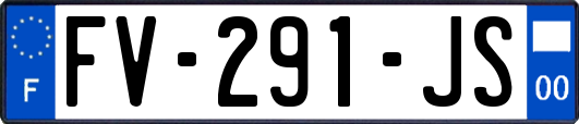 FV-291-JS