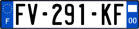 FV-291-KF
