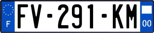 FV-291-KM