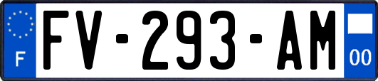 FV-293-AM