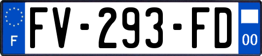 FV-293-FD