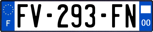 FV-293-FN