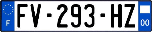 FV-293-HZ