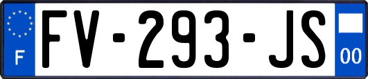 FV-293-JS