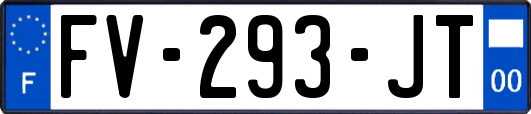 FV-293-JT