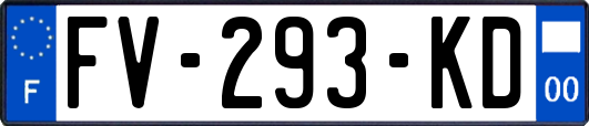 FV-293-KD