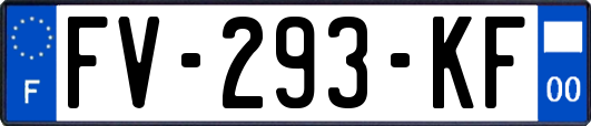 FV-293-KF