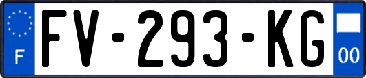 FV-293-KG