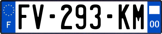 FV-293-KM
