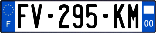 FV-295-KM