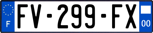 FV-299-FX