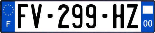 FV-299-HZ