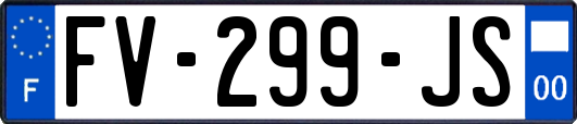 FV-299-JS