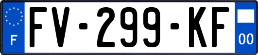 FV-299-KF