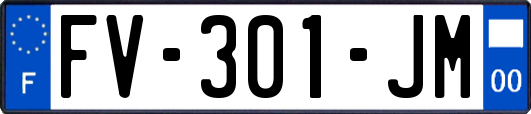 FV-301-JM