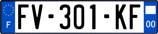 FV-301-KF