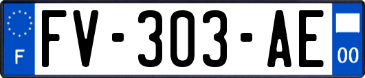 FV-303-AE