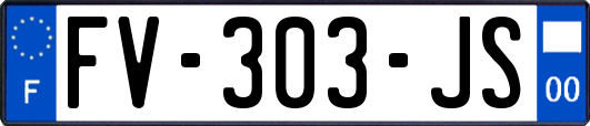 FV-303-JS