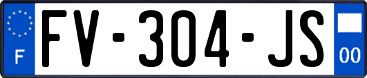 FV-304-JS
