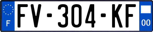 FV-304-KF