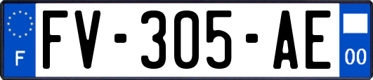 FV-305-AE