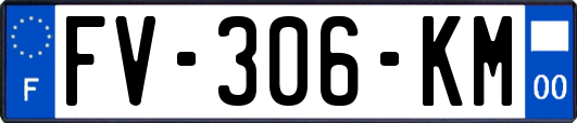 FV-306-KM