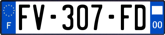 FV-307-FD