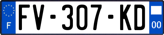 FV-307-KD