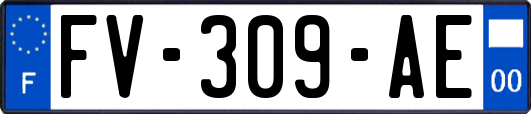 FV-309-AE