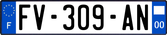 FV-309-AN