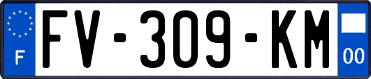 FV-309-KM