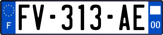 FV-313-AE