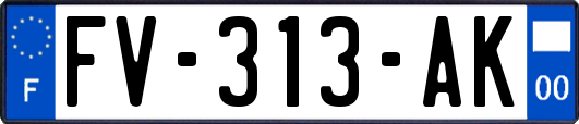 FV-313-AK