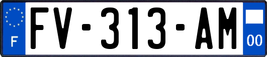 FV-313-AM